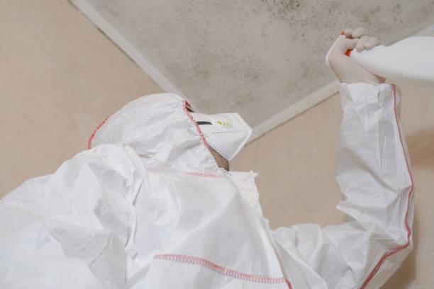 Best Mold Cleaning Services  in Quinnesec, MI